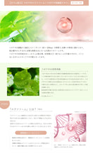 画像をギャラリービューアに読み込む, V3パーティクルプライマー